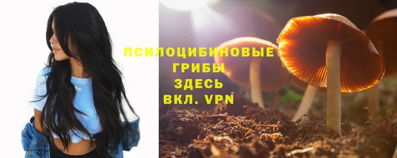 Псилоцибиновые грибы Psilocybine cubensis  где продают наркотики  Калач 